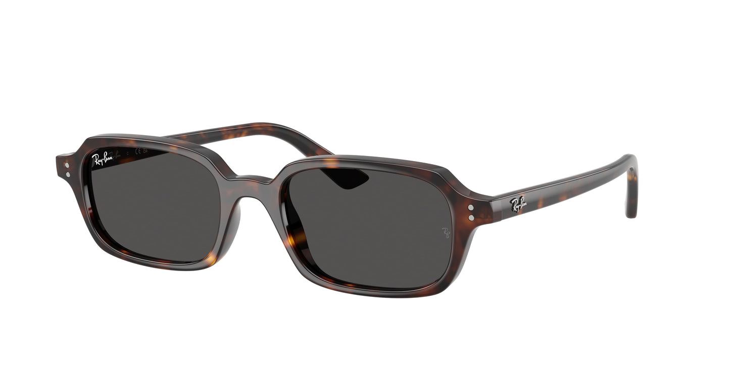RAY BAN 4455 Occhiali Da Sole Unisex