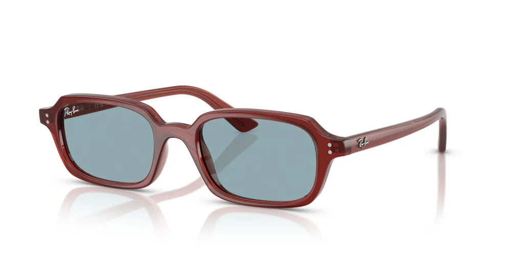 RAY BAN 4455 Occhiali Da Sole Unisex